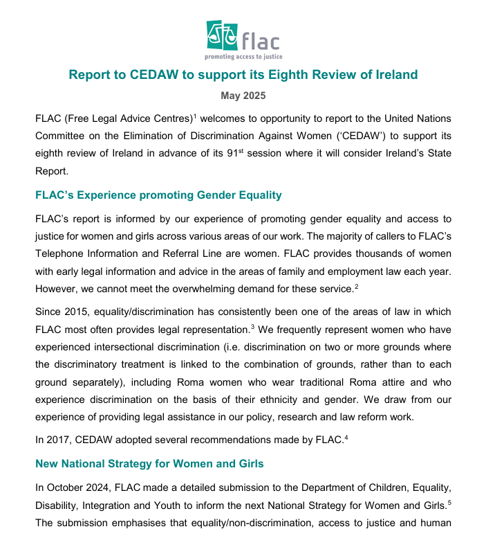 Preview of Report to United Nations Committee