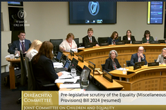 Oireachtas committee photo