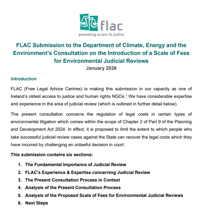 Preview of FLAC Submission to the Department of Climate, Energy and the Environment’s Consultation on the Introduction of a Scale of Fees for Environmental Judicial Reviews